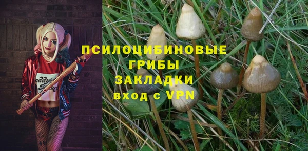 герыч Алексин