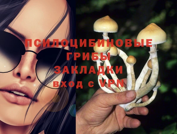 герыч Алексин