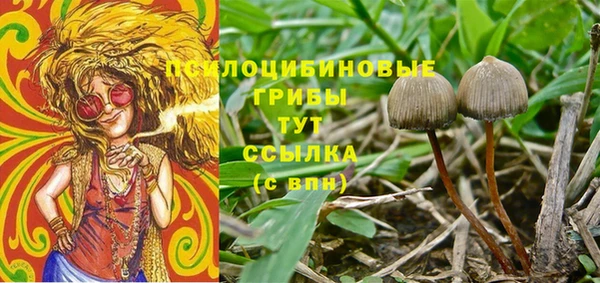 прущие крисы Алексеевка
